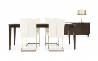 Table 38X60, 1 extension 18¨